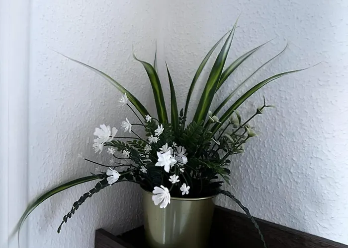 Apartament Spiez - View - For 7 Guests Thun