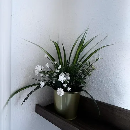 公寓 Spiez - View - For 7 Guests 图恩